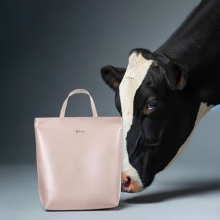 Není to kůže. Jsou to životy. Každý rok je kvůli masu zabito přes 300 milionů krav. Ale tím to nekončí. Jejich kůže –...